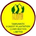 TAF CORN Logo